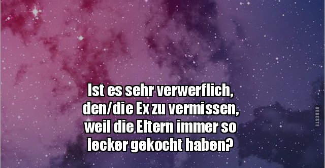 Ist es sehr verwerflich, den/die Ex zu vermissen, weil.. Lustige