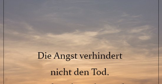 Die Angst verhindert nicht den Tod... Lustige Bilder, Sprüche, Witze