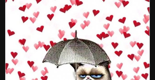 Wer Auch Immer Den 30 Aus Dem Februar Entfernt Hat Kann Lustige Bilder Spruche Witze Echt Lustig