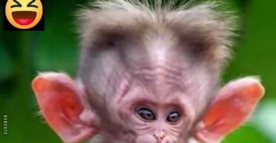 Ende der Maskenpflicht Jahr 2054.. | Lustige Bilder, Sprüche, Witze