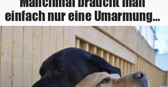 36+ Manchmal braucht man einfach nur eine umarmung sprueche ideas