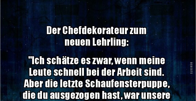 Der Chefdekorateur zum neuen Lehrling.. Lustige Bilder, Sprüche