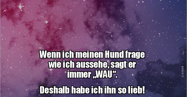 Wenn ich meinen Hund frage wie ich aussehe, sagt er immer „WAU