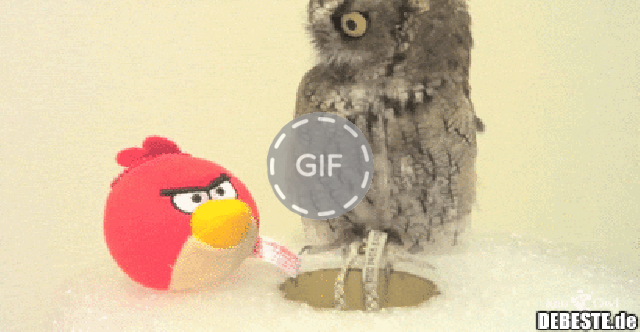 Wat Wer Bist Du Denn Gif
