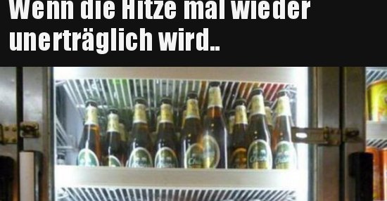 Wenn die Hitze mal wieder unerträglich wird.. | Lustige Bilder, Sprüche