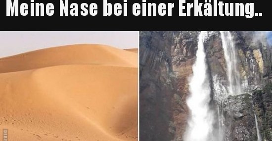 Meine Nase bei einer Erkältung... Lustige Bilder, Sprüche, Witze