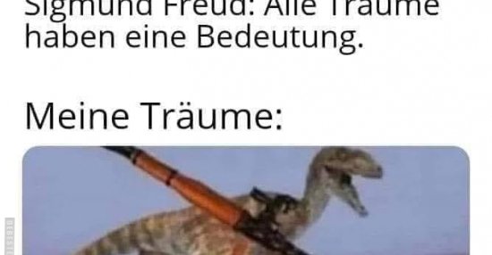 Sigmund Freud: Alle Träume haben eine Bedeutung&hellip; | Lustige Bilder