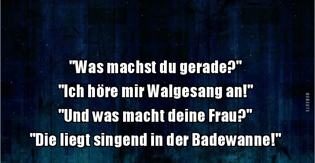 "Was machst du gerade?".. Lustige Bilder, Sprüche, Witze, echt lustig