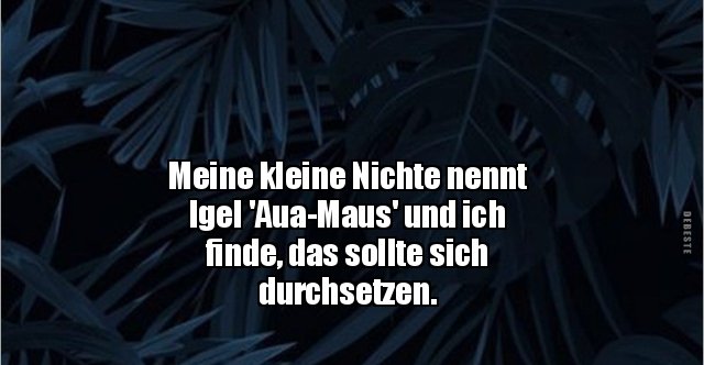 Meine kleine Nichte nennt Igel 'AuaMaus' und ich.. Lustige Bilder