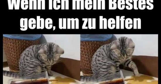 Wenn ich mein Bestes gebe, um zu helfen - DEBESTE.de
