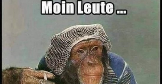 Moin Leute... DEBESTE.de