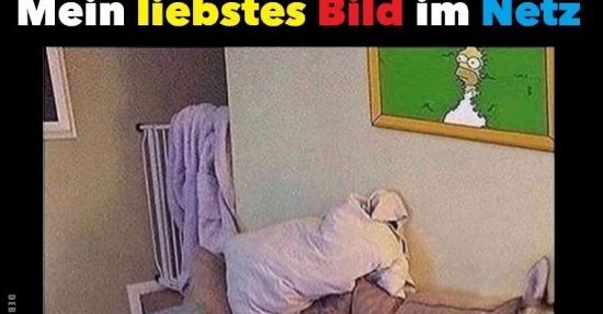 35++ Witziges bild im internet , Mein liebstes Bild im Netz... Lustige Bilder, Sprüche, Witze, echt lustig