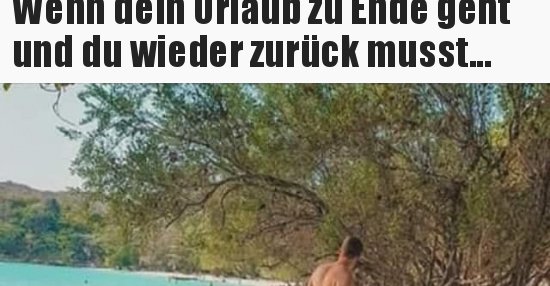 Wenn dein Urlaub zu Ende geht und du wieder zurück.. Lustige Bilder