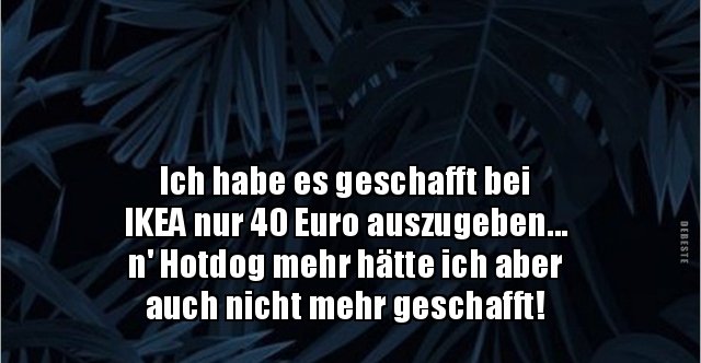 Ich habe es geschafft bei IKEA nur 40 Euro.. Lustige Bilder, Sprüche