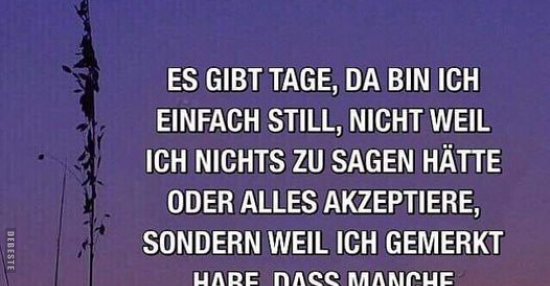 Es gibt Tage, da bin ich einfach still, nicht weil ich.. - DEBESTE.de