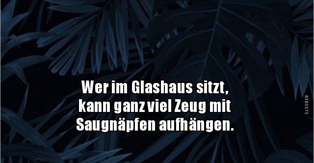 Wer im Glashaus sitzt, kann ganz viel Zeug mit.. Lustige Bilder