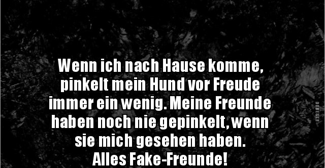 Wenn ich nach Hause komme, pinkelt mein Hund vor