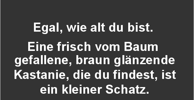 Egal, wie alt du bist. Eine frisch vom Baum gefallene.. Lustige