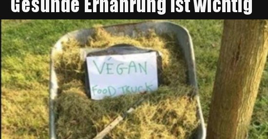 46+ Gesunde ernaehrung lustige sprueche info