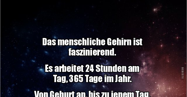 50+ Geht waehlen sprueche , Das menschliche Gehirn ist faszinierend. Es arbeitet 24.. Lustige Bilder, Sprüche, Witze, echt