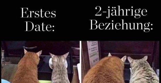 Erstes Date Lustige Bilder
