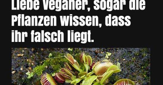 43+ Sprueche liebe lustig , Liebe Veganer, sogar die Pflanzen wissen.. Lustige Bilder, Sprüche, Witze, echt lustig