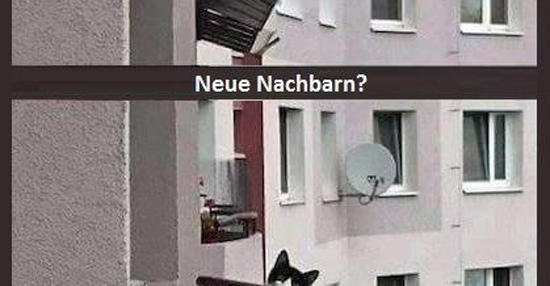 Nachbarn Lustige Bilder