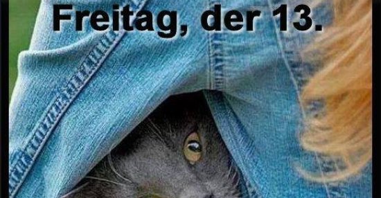 35++ Freitag der 13 bilder lustig , Freitag, der 13. Kommt gut durch den Tag... Lustige Bilder, Sprüche