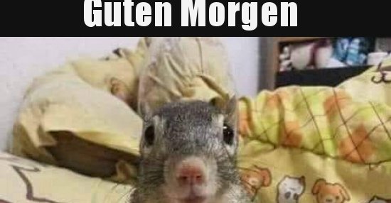 Guten Morgen Frühstück Ist Fertig