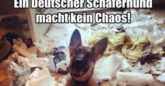 Ein Deutscher Schäferhund macht kein Chaos! Lustige Bilder, Sprüche