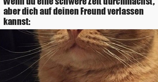 Wenn Du Eine Schwere Zeit Durchmachst Aber Dich Auf Deinen Lustige 