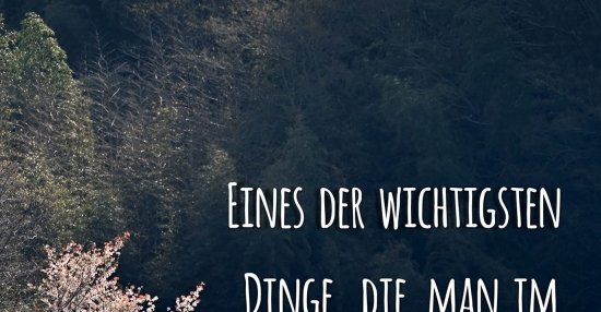 47+ Spruch kleine dinge , Eines der wichtigsten Dinge, die man im Leben lernen kann.. Lustige Bilder, Sprüche, Witze