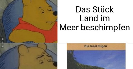 Das Stuck Land Im Meer Beschimpfen Lustige Bilder Spruche Witze Echt Lustig