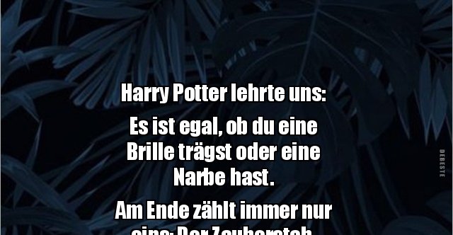 Harry Potter lehrte uns Es ist egal, ob du eine.. Lustige Bilder