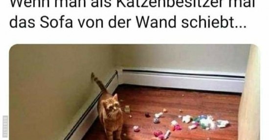 Wenn man als Katzenbesitzer mal das Sofa von der Wand.. Lustige