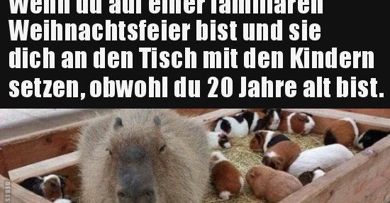 Wenn du auf einer familiären Weihnachtsfeier bist und sie.. | Lustige