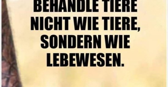 33++ Sprueche dummheit lustig , Behandle Tiere nicht wie Tiere, sondern wie Lebewesen.. Lustige Bilder, Sprüche, Witze, echt