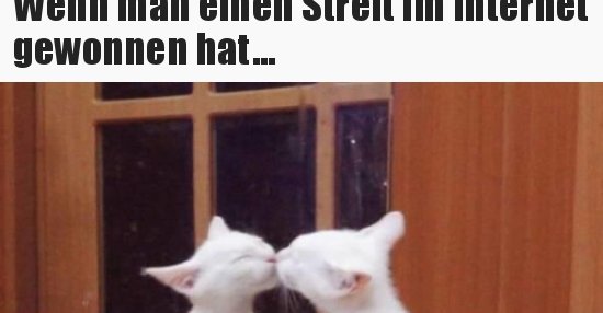 Wenn man einen Streit im gewonnen hat... Lustige Bilder