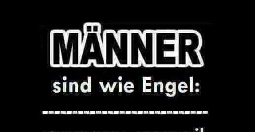 Download Maenner sind wie engel sprueche Free