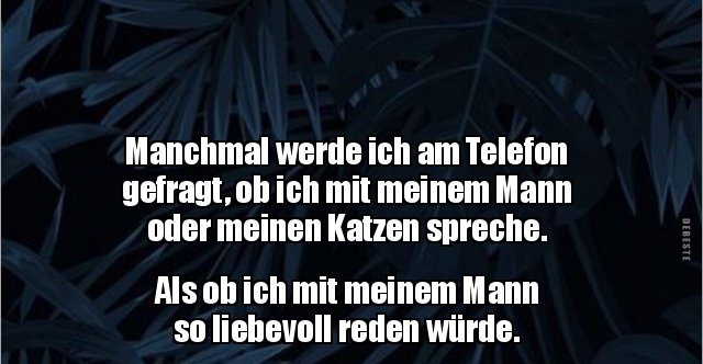 Manchmal werde ich am Telefon gefragt, ob ich mit.. Lustige Bilder