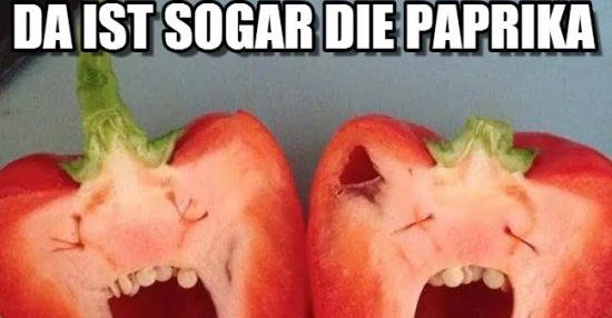 Da Ist Sogar Die Paprika Schockiert Lustige Bilder Spruche Witze Echt Lustig