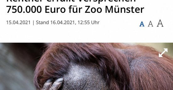 36++ Nicht gut genug sein sprueche , Rentner erfüllt Versprechen 750.000 Euro für Zoo.. Lustige Bilder, Sprüche, Witze, echt lustig