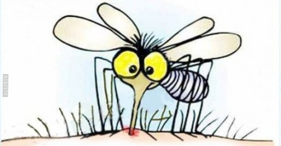 41+ Muecken sprueche , Die Bekämpfung von Mücken in der Wohnung entwickelt das.. Lustige Bilder, Sprüche, Witze, echt