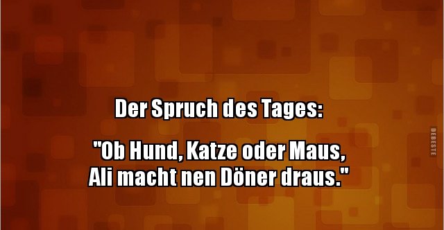 Get Hund und katze spruch For Free Hund Und Katze Spruch