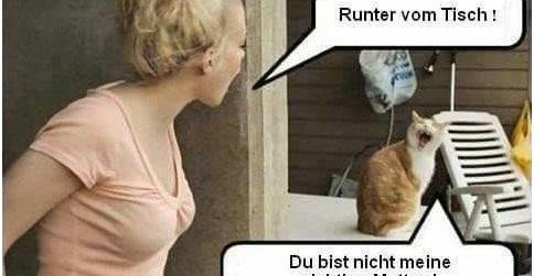 Runter vom Tish! | Lustige Bilder, SprÃ¼che, Witze, echt lustig