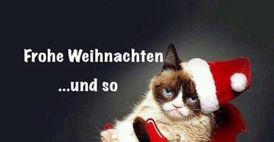 Frohe Weihnachten.. ..und so | Lustige Bilder, Sprüche, Witze, echt lustig