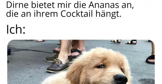 42++ Verwirrung sprueche , Dirne bietet mir die Ananas an, die an ihrem Cocktail.. Lustige Bilder, Sprüche, Witze, echt