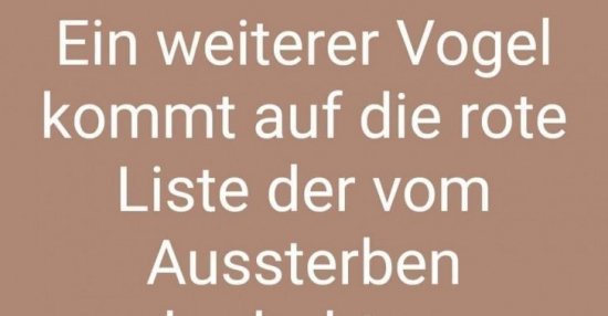 Ein Weiterer Vogel Kommt Auf Die Rote Liste Der Vom Lustige Bilder Spruche Witze Echt Lustig