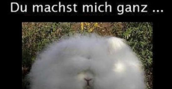 Du machst mich ganz... wuschig ) Lustige Bilder, Sprüche, Witze