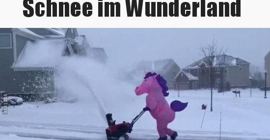 Schnee im Wunderland.. Lustige Bilder, Sprüche, Witze, echt lustig